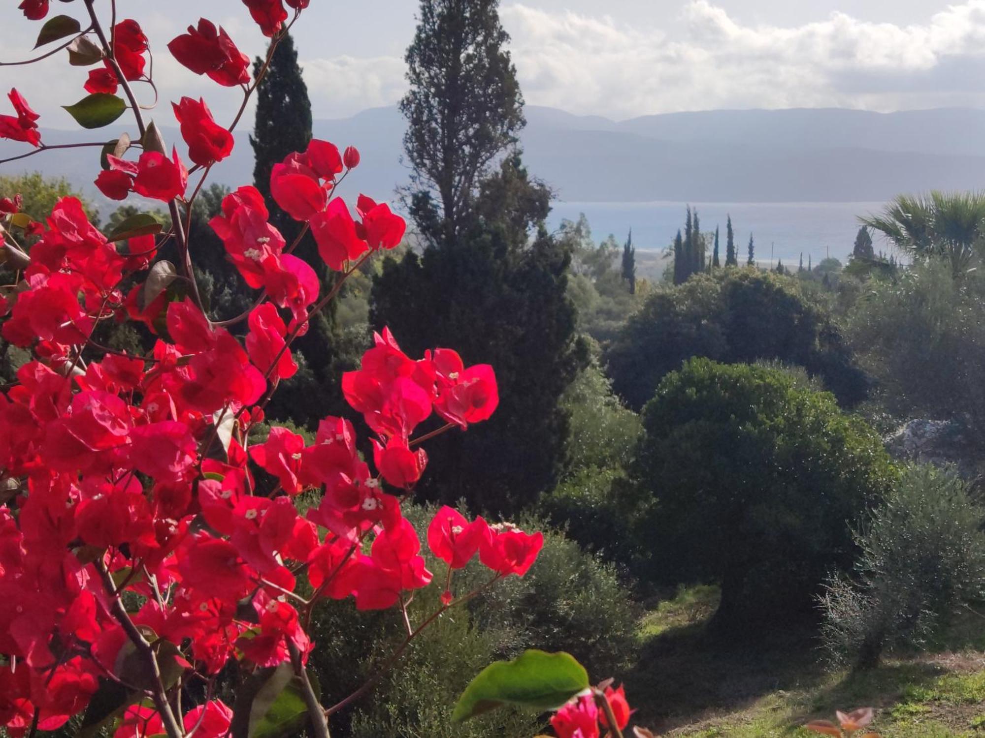 Villa Pilias Methoni  Eksteriør billede